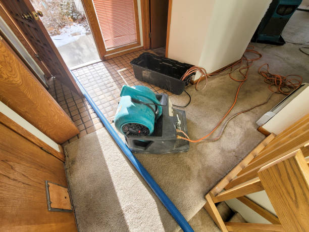 Best Flood restoration services  in Roanoke, IN