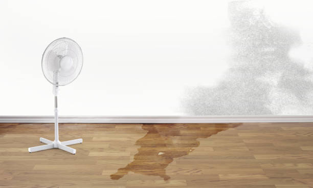 Best Emergency water damage restoration  in Roanoke, IN