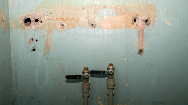 Best Water damage contractors near me  in Roanoke, IN