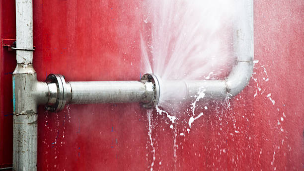 Best Water damage mitigation services  in Roanoke, IN